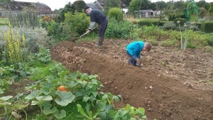 Découvrir la permaculture